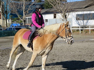 真面目に乗馬がしたい