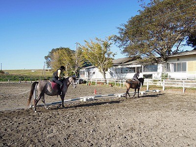 乗馬に大切なのはリラックス