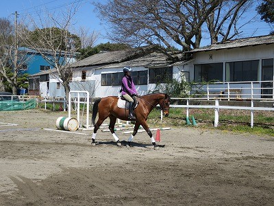 ハミ受けって楽しい