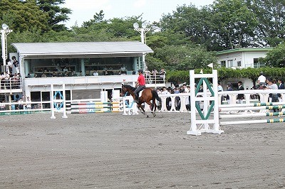 関東高等学校馬術選手権大会