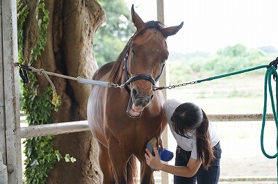 ちゃんと馬のこと口説いてる？(笑)