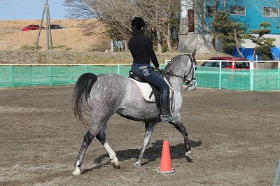 乗馬上達の秘訣