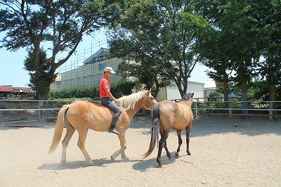 馬とのコミュニケーション