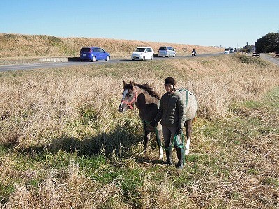 子馬とお散歩