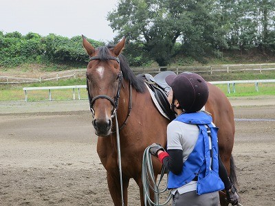 馬とハッピーコミュニケーション