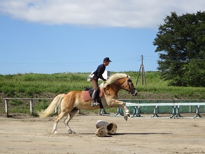 馬と遊ぼう