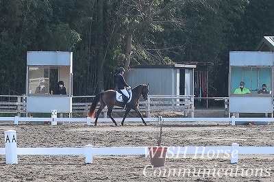 馬を仲間のように接する乗馬