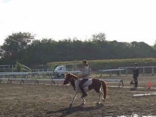 馬の温かさを感じる裸馬しかも無口だけ
