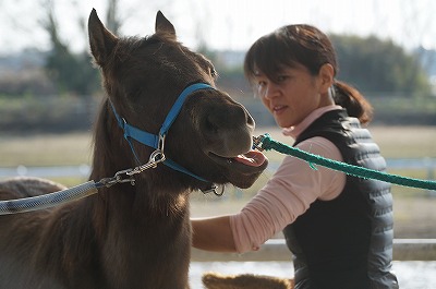 馬の喜ぶ表情