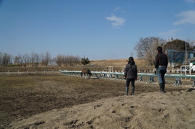 馬の喜びとやりがい