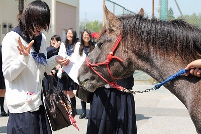 どうしたの あえぎ 薬を飲む 柏 南 セーラー服 chiryulions jp