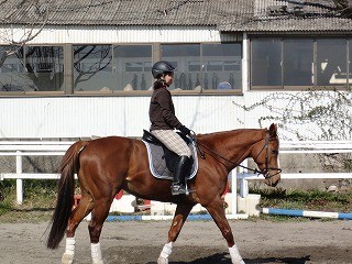 スマイル乗馬