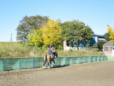 レディーファースト馬ファースト