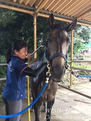 馬の愛あるリーダーになろう！