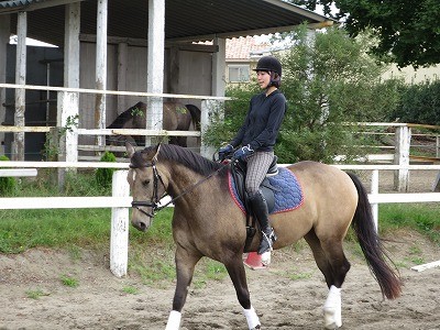 優しい馬と体験乗馬