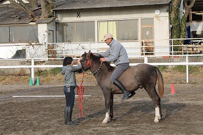 子馬に乗ってみました