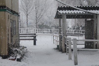 乗馬クラブの雪景色