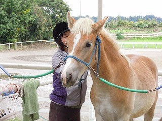 乗馬クラブウィッシュは川村学園大学の近くにあります