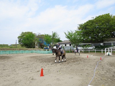 馬と会話上手
