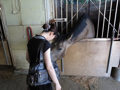 人も馬も癒される乗馬