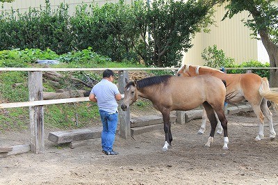 乗馬雑誌エクウス