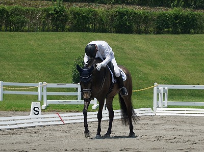 全日本馬場馬術大会