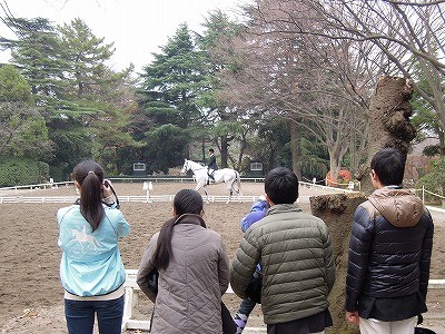 関東高校馬術大会いよいよ競技