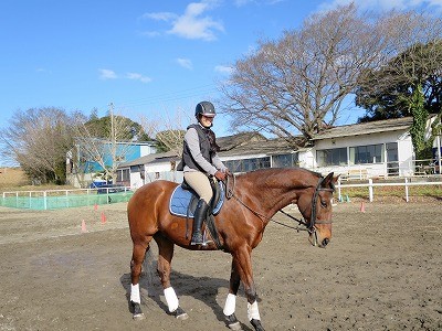 乗馬で良いヴィジョンを持とう！
