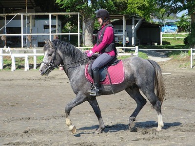 ほのぼの成長乗馬