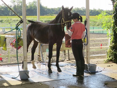 素敵な人と素敵な馬