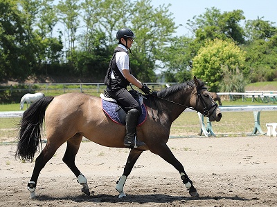 馬も人も笑顔で乗馬