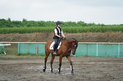 夢がかなうように応援してるよ！