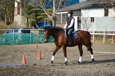 乗馬上達の秘訣