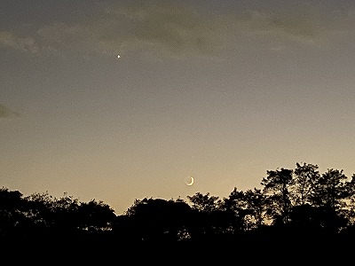 月と金星