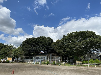 ウィッシュホースコミュニケーションズ