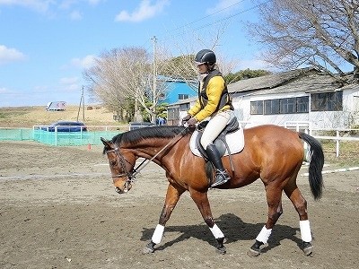 乗馬もみんな初めは若葉マーク