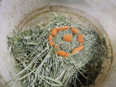 馬のご飯盛り付け例