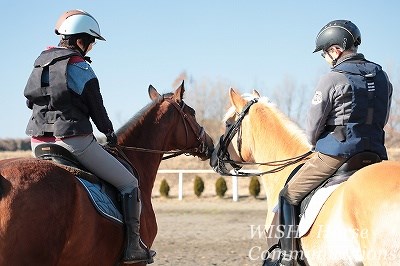 馬に好かれる乗馬をしよう