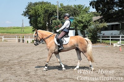 優しい人には優しい乗馬