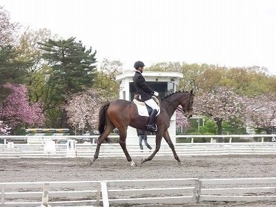 上手な馬の乗り方とカメラの撮り方