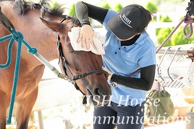 喜ぶ馬