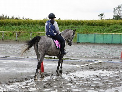 馬語リテラシー