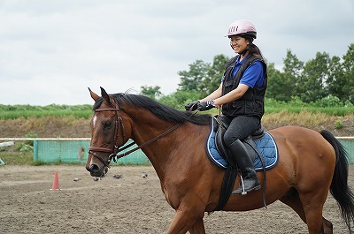 よく調教された馬こそ最良の教師