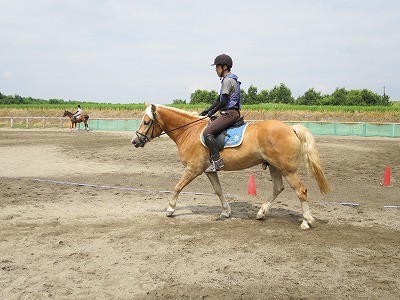 馬のボディーランゲージを読もう