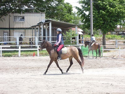 爽やかな五月の乗馬クラブ