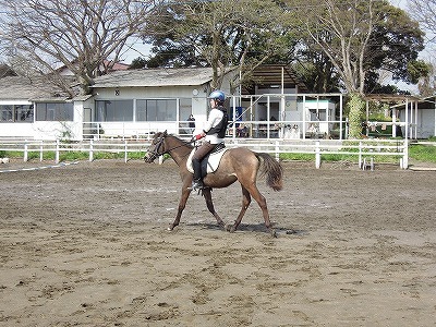 馬たちみんな元気いきいき！