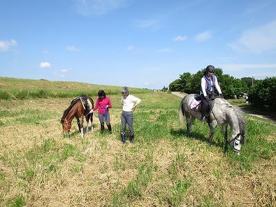 自分達で馬を飼うように