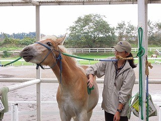 馬の気持ちいいの表情