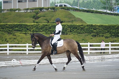 私達の馬育て