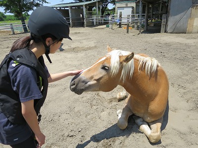 乗馬の楽しみ